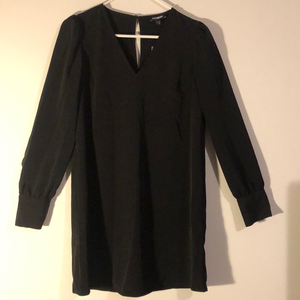 Brand New Express Dress